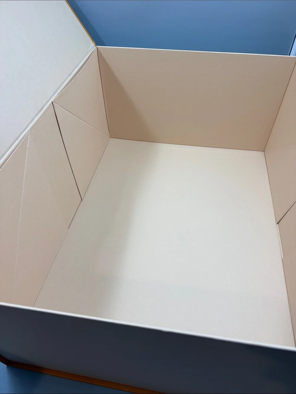Louis Vuitton Empty XXL Gift Box with Handle